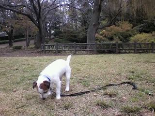 11-11-15_006.jpg