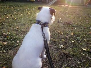 11-11-22_006.jpg