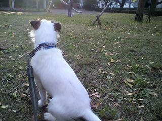 11-11-22_009.jpg