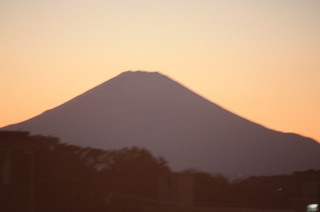 IMG_8717.jpg