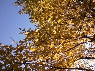 11-11-25_005.jpg