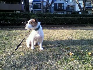 11-11-25_006.jpg