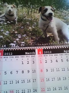 11-11-22_011.jpg