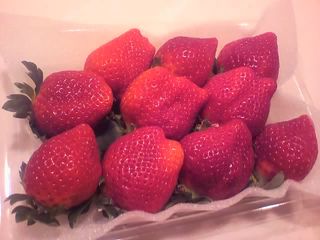 11-11-28_004.jpg