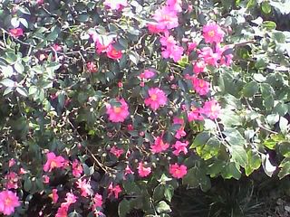 11-11-30_003.jpg