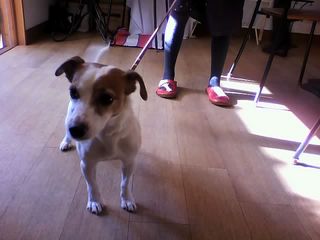 11-12-15_016.jpg
