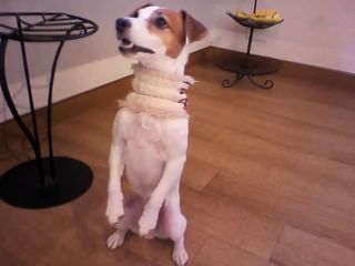11-12-15_008.jpg