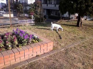 12-01-10_001.jpg