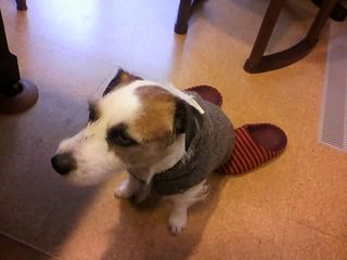 12-01-16_003.jpg