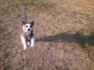12-01-17_009.jpg