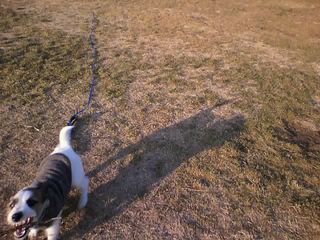 12-01-17_010.jpg