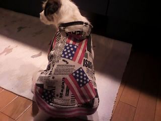 12-01-26_002.jpg