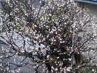 12-03-06_001.jpg