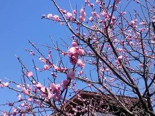 12-04-04_001.jpg