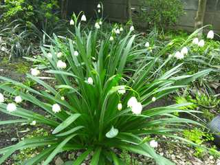 120419_105837.jpg
