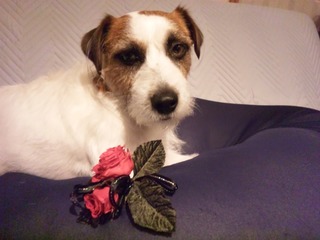 120426_200731.jpg