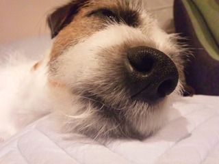 120427_205306.jpg