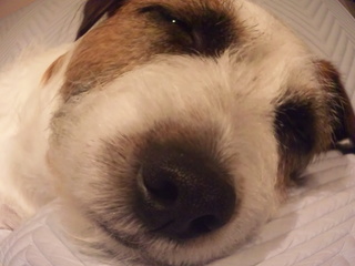 120427_205341.jpg