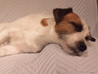 120427_205218.jpg