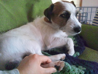 120502_074756.jpg