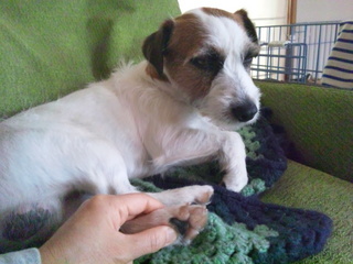 120502_074807.jpg