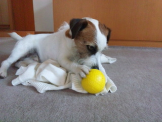 120514_084153.jpg