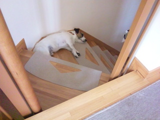 120517_170433.jpg