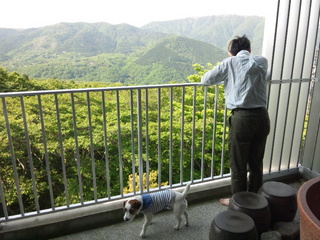 120527_151909.jpg