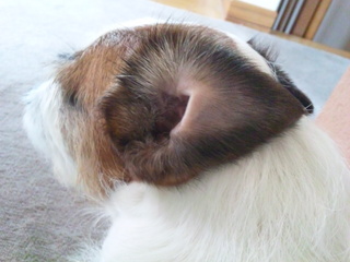 120601_140723.jpg