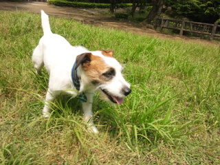 120531_133357.jpg
