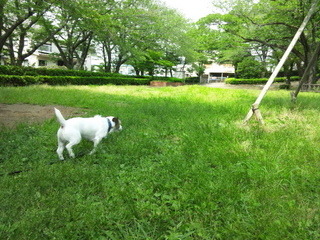 120531_133318.jpg