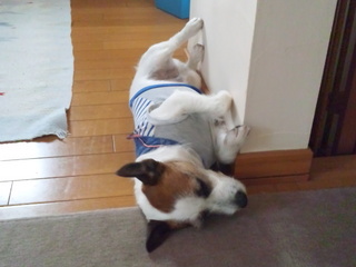 120531_172815.jpg