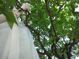120610_085017.jpg