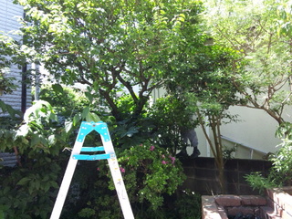 120610_101006.jpg