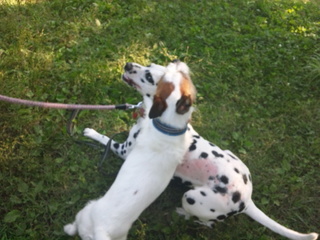 120614_160334.jpg