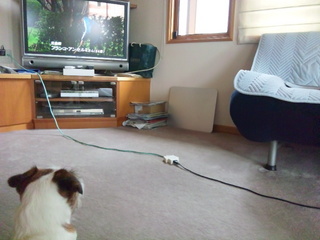 120617_100739.jpg