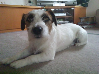 120617_101149.jpg