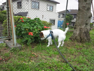 120625_143232.jpg
