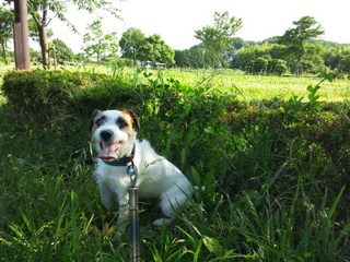 120626_160403.jpg