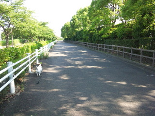 120626_160137.jpg