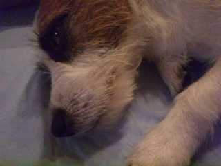 120727_201211.jpg
