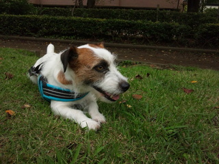 120808_065433.jpg