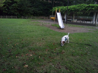 120810_174524.jpg