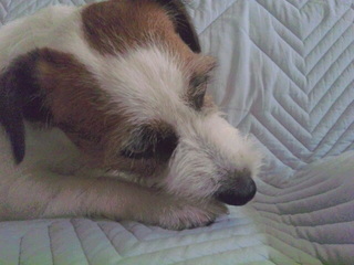 120816_120732.jpg