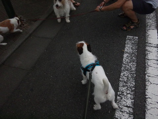 120818_064749.jpg