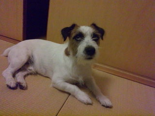 120915_181003.jpg