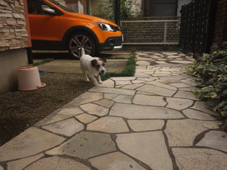 120929_090729.jpg