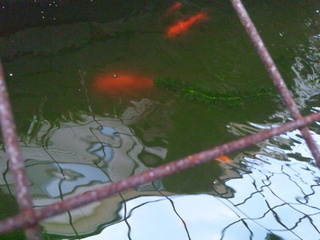 120930_093134.jpg