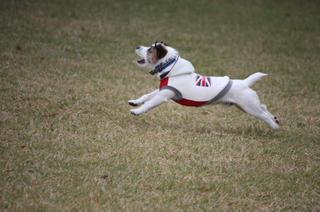 IMG_8388.jpg