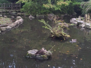 121002_113926.jpg